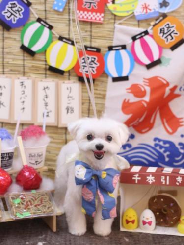 20240714みるくくん